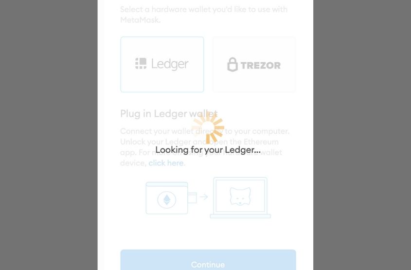 Metamask hardware wallet connection