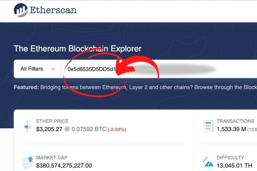 You can view NFTs using the Etherscan blockchain explorer.