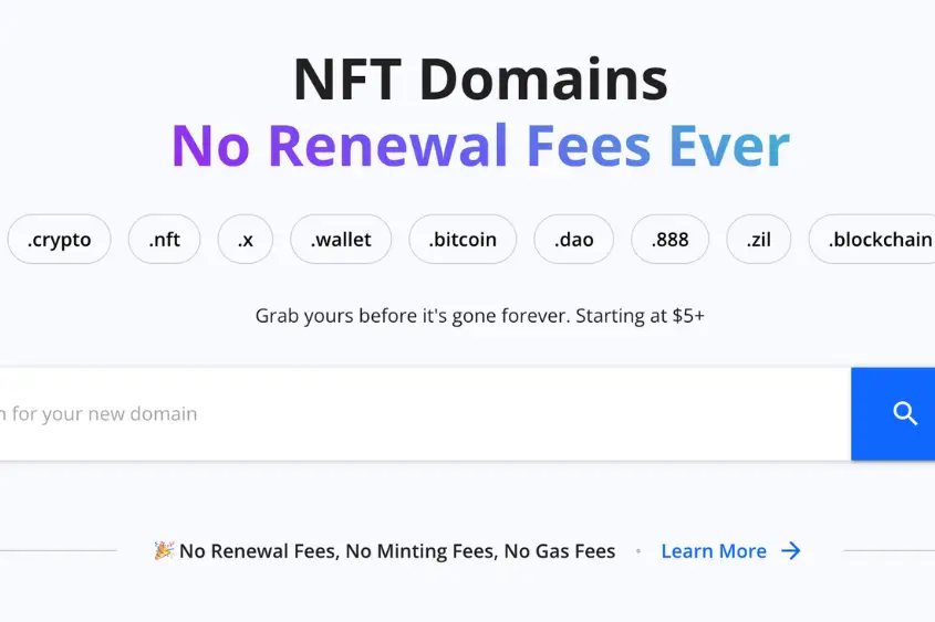 Unstoppable Domain is a one time fee