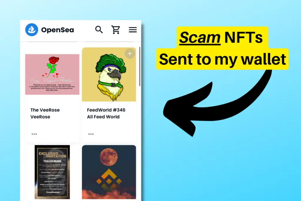 Scam NFTs in my wallet.