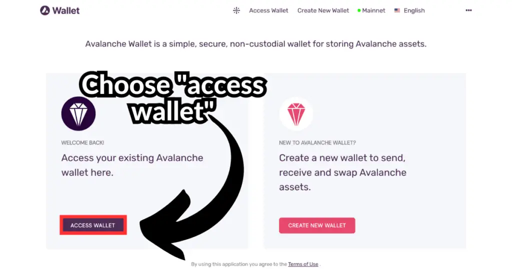 Avalanche chain wallet setup.